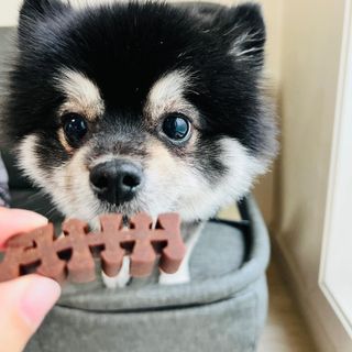뽀히님이 올린 리뷰 사진 4