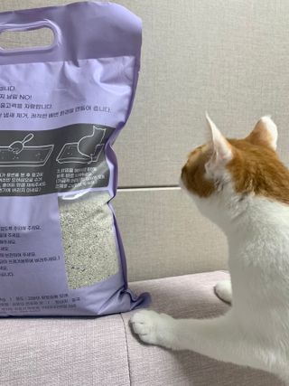 몬드모랑님이 올린 리뷰 사진 3