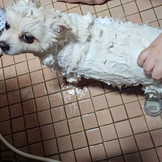 라니🍀님이 올린 리뷰 사진 2