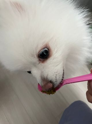 정꾸꾸님이 올린 리뷰 사진 1