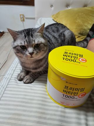 서울약사신협 프리미엄비타민C1000_2.5G x 100포 — 5점을 준 리뷰어가 2021년 5월 올린 사용 사진