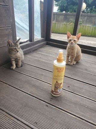기왕이면호피치마님이 올린 리뷰 사진 3