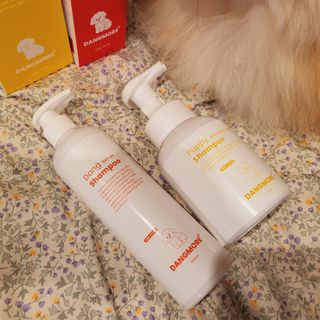 [댕모어 샴푸 2종] 댕샴푸 / 퍼피샴푸  2종 세트 (300ml) — 5점을 준 리뷰어가 2023년 8월 올린 사용 사진