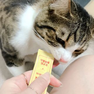 페페로니 잘 먹는 캣츄 - 무항생제 닭고기 24개입 — 5점을 준 리뷰어가 2021년 7월 올린 사용 사진