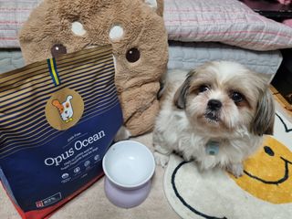 clarawon님이 올린 리뷰 사진 3