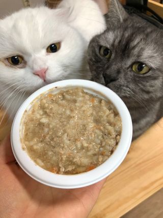 지연님이 올린 리뷰 사진 1