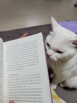 도르방구님이 올린 리뷰 사진 1