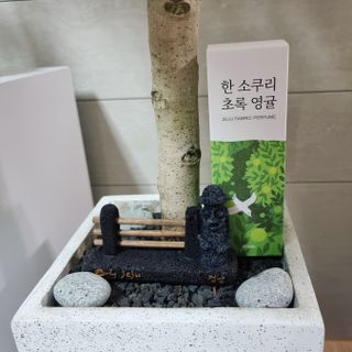 daisy_데이지님이 올린 리뷰 사진 4
