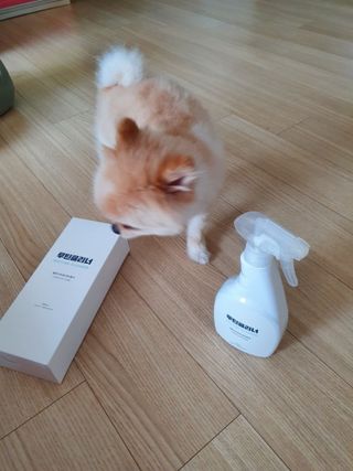 보미누나님이 올린 리뷰 사진 2