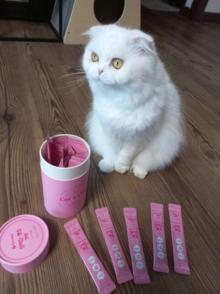 좋아님이 올린 리뷰 사진 1