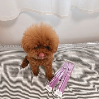 조이님이 올린 리뷰 사진 2
