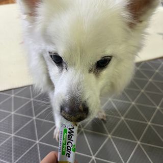 요하님이 올린 리뷰 사진 1
