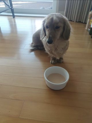 루니이이잉님이 올린 리뷰 사진 3