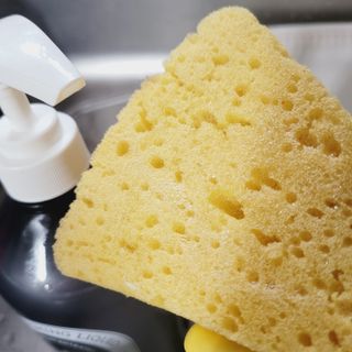 핑크뭉치님이 올린 리뷰 사진 4