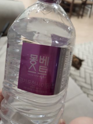 몽베스트 MONTBEST 1L 12입 — 5점을 준 리뷰어가 2022년 3월 올린 사용 사진