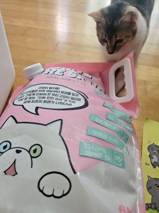 cherishlim님이 올린 리뷰 사진 2
