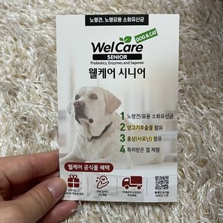웰케어유산균 체험팩 10일분 (강아지용/고양이용) — 5점을 준 리뷰어가 2023년 2월 올린 사용 사진