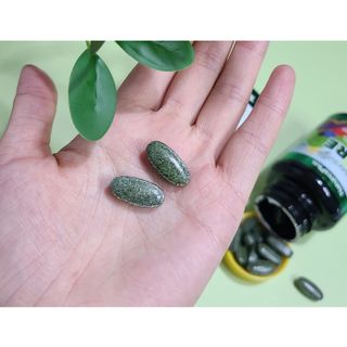 콩콩님이 올린 리뷰 사진 4