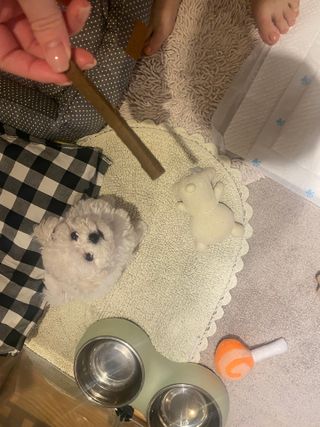 허당당당님이 올린 리뷰 사진 3