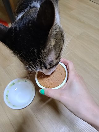글라라5205님이 올린 리뷰 사진 1