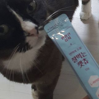 페페로니 잘 먹는 캣츄 - 원양선 참치 24개입 — 5점을 준 리뷰어가 2021년 8월 올린 사용 사진