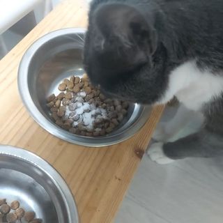 eguci님이 올린 리뷰 사진 3