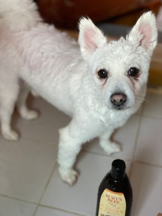 엠마J님이 올린 리뷰 사진 3