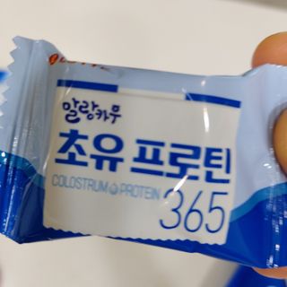 복도리님이 올린 리뷰 사진 3