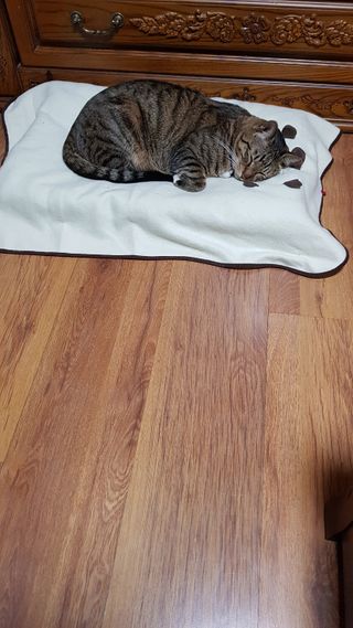 무ㅗ왜뭐님이 올린 리뷰 사진 3