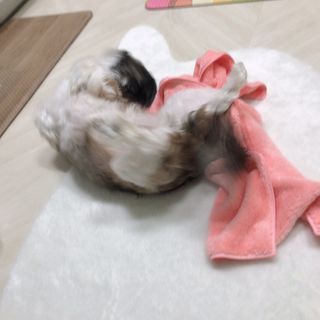 민지1985님이 올린 리뷰 사진 4