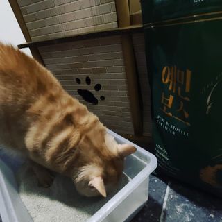 까꿍님이 올린 리뷰 사진 3