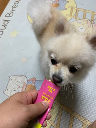 페페로니 맛있는 스틱 - 무항생제 닭고기 15개 + 알래스카 연어 15개 — 5점을 준 리뷰어가 2021년 9월 올린 사용 사진