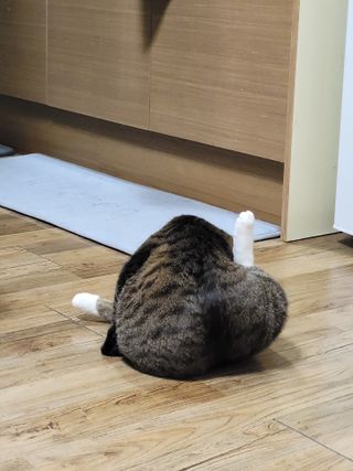 밍밍0님이 올린 리뷰 사진 3
