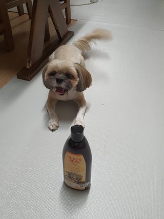 뽀미아빠님이 올린 리뷰 사진 3
