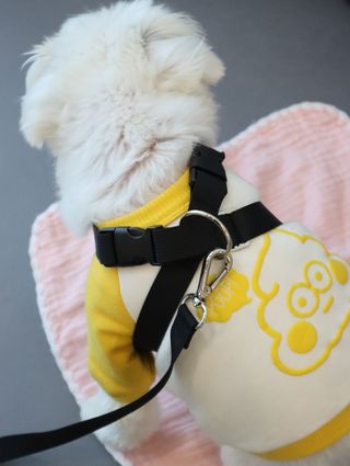 송린깡님이 올린 리뷰 사진 2