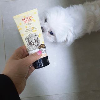 허대장님이 올린 리뷰 사진 4