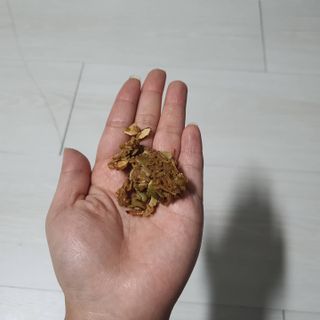 빵슬님이 올린 리뷰 사진 3