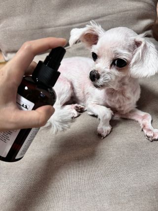 비비님이 올린 리뷰 사진 2