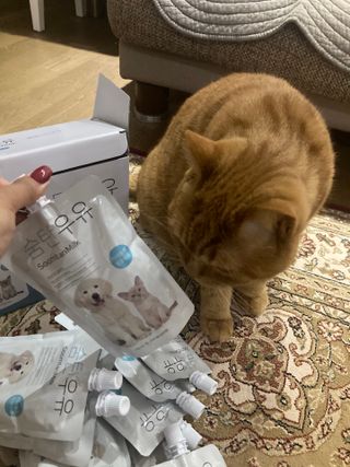 syjuknow님이 올린 리뷰 사진 3