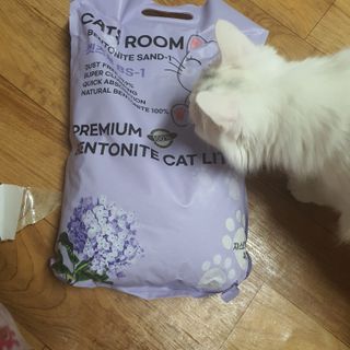 겟플렉스 켓플렉스 캣츠룸BS-1 고양이모래 4kg — 5점을 준 리뷰어가 2021년 3월 올린 사용 사진