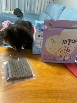 My Pet Care 천연단백질 치아건강에 개좋아 — 5점을 준 리뷰어가 2021년 1월 올린 사용 사진