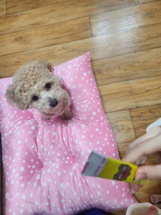 파비올라님이 올린 리뷰 사진 1