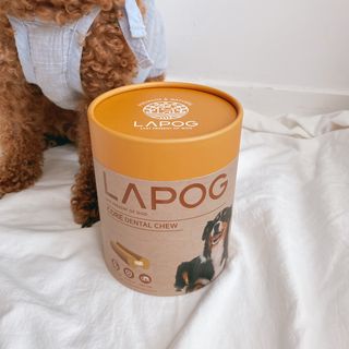 조이님이 올린 리뷰 사진 4