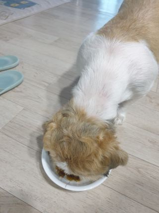 보리엄마님이 올린 리뷰 사진 3