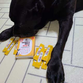 기린짱맘님이 올린 리뷰 사진 2