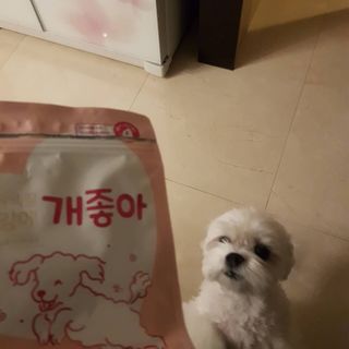 My Pet Care 천연단백질 관절건강에 개좋아 — 4점을 준 리뷰어가 2021년 2월 올린 사용 사진