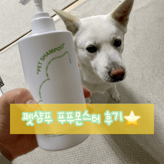 나래님이 올린 리뷰 사진 1