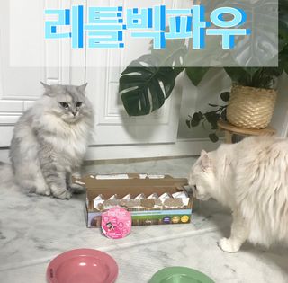 fively님이 올린 리뷰 사진 1