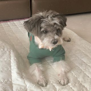 클로버님이 올린 리뷰 사진 4