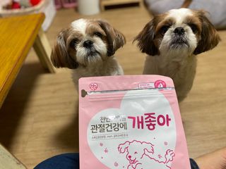 My Pet Care 천연단백질 관절건강에 개좋아 — 5점을 준 리뷰어가 2021년 1월 올린 사용 사진